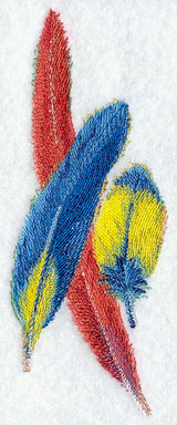Scarlet Macaw Feathers