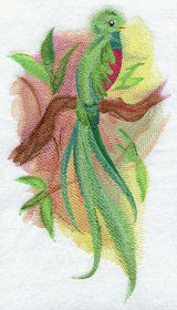 Quetzal in Watercolor