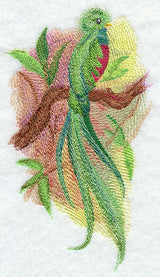 Quetzal in Watercolor