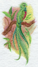 Quetzal in Watercolor