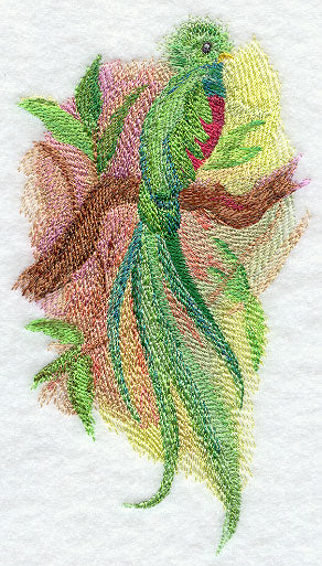 Quetzal in Watercolor