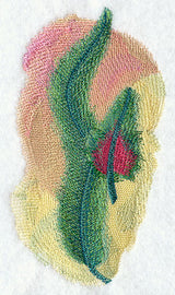 Quetzal Feathers in Watercolor