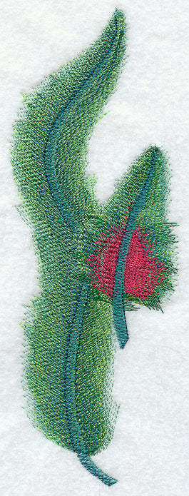Quetzal Feathers