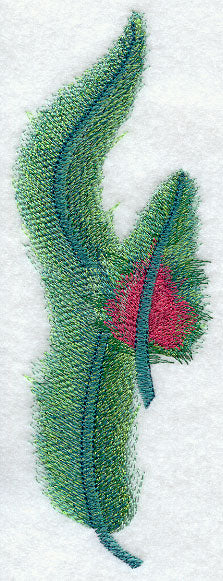 Quetzal Feathers