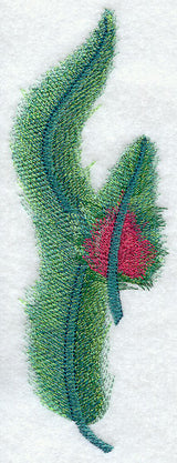 Quetzal Feathers