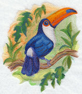 Toucan in Watercolor