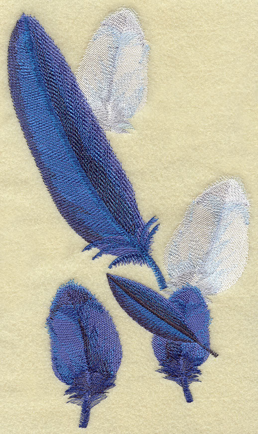 Toucan Feathers