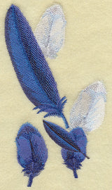 Toucan Feathers