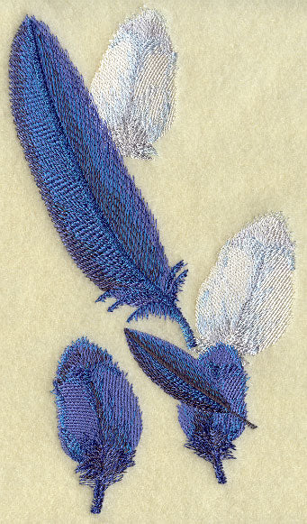 Toucan Feathers