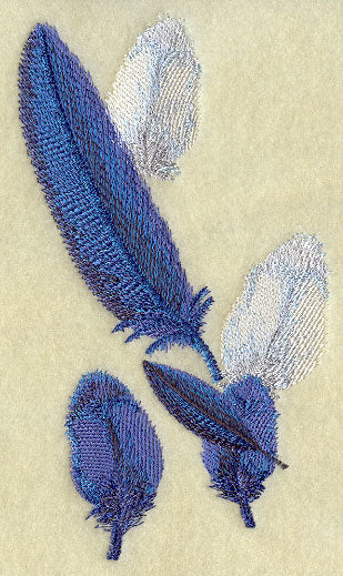 Toucan Feathers