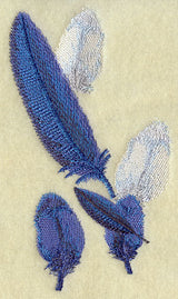 Toucan Feathers