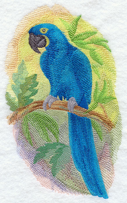 Hyacinth Macaw in Watercolor