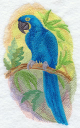 Hyacinth Macaw in Watercolor