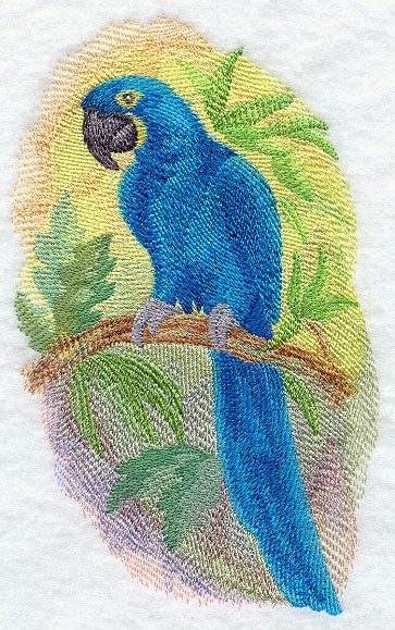 Hyacinth Macaw in Watercolor