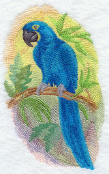 Hyacinth Macaw in Watercolor