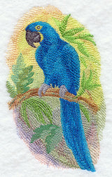 Hyacinth Macaw in Watercolor