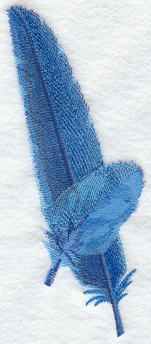 Hyacinth Macaw Feathers