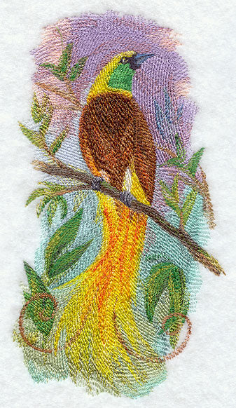 Bird of Paradise in Watercolor