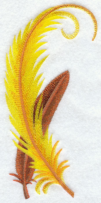 Bird of Paradise Feathers
