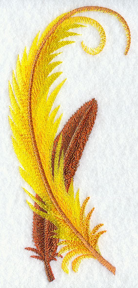 Bird of Paradise Feathers