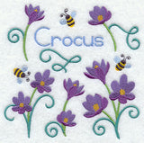Crocus and Bumblebee Square