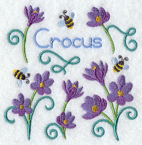 Crocus and Bumblebee Square