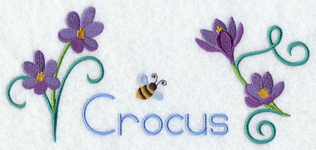 Crocus and Bumblebee Border