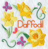 Daffodil and Butterfly Square