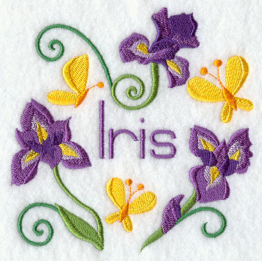 Iris and Butterfly Square