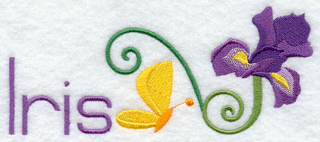 Iris and Butterfly Border