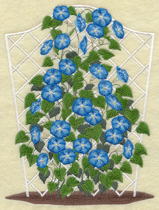 Morning Glory Trellis