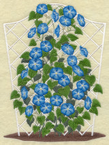 Morning Glory Trellis