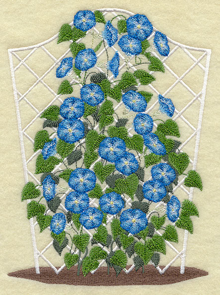 Morning Glory Trellis