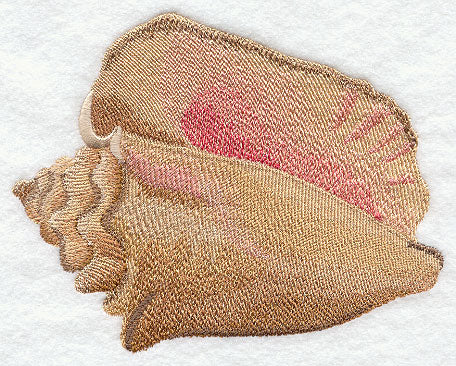 Seaside Beauty - Conch Shell