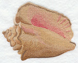 Seaside Beauty - Conch Shell