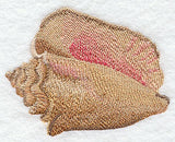 Seaside Beauty - Conch Shell