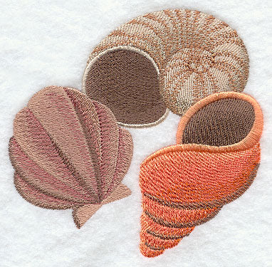 Sea Shells Portrait - Shells