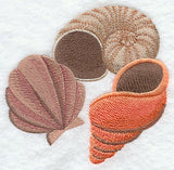 Sea Shells Portrait - Shells