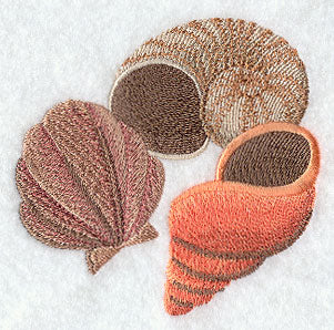 Sea Shells Portrait - Shells