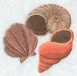 Sea Shells Portrait - Shells
