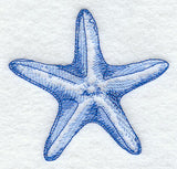 Starfish Sea Sketch