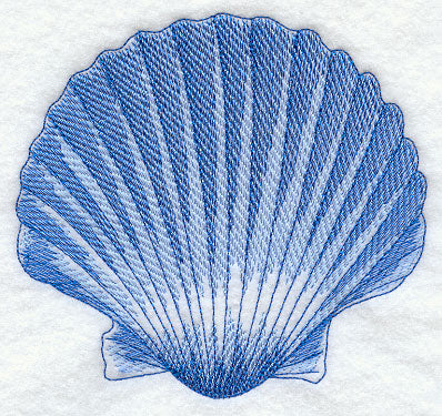 Seashell Sea Sketch
