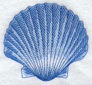Seashell Sea Sketch