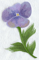 Pansy in Watercolor