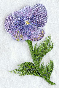 Pansy in Watercolor