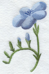 Freesia in Watercolor