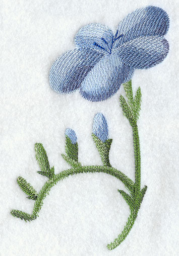 Freesia in Watercolor