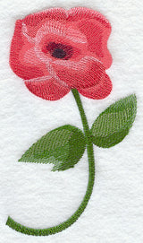 Anemone in Watercolor