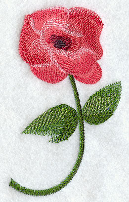 Anemone in Watercolor