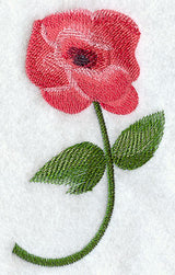 Anemone in Watercolor